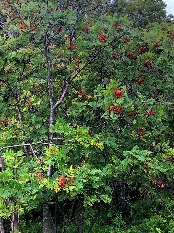 Herbsttag-und-Nachtgleiche